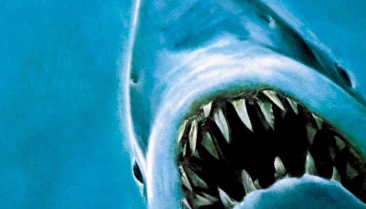 Franchise Rewind: Jaws (1975) Jaws 2 (1977)